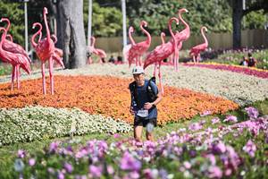 BIB: 
                            <button type="button" onclick="openModal(27794463)" class="btn btn-primary btn-sm float-right btn-popup" data-toggle="modal" data-target=".modal-high-quality">
                        <i class="fas fa-shopping-cart"></i> Add to Cart
                    </button>
                                            <button type="button" onclick="isThisMe(27794463, true)" class="btn btn-success btn-sm float-right btn-popup btn-isme hidden" data-toggle="tooltip" data-placement="bottom" title="นี่คือรูปของคุณใช่ไหม คลิกที่นี่เพื่อเอาเข้าอัลบั้ม">
                        <i class="fas fa-plus"></i> Add to album
                    </button>
                    <button type="button" onclick="isThisMe(27794463, false)" class="btn btn-warning btn-sm float-right btn-popup btn-isnotme hidden">
                        <i class="fas fa-ban"></i> Remove from album
                    </button>